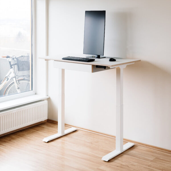 Radis desk VISTA with height adjustable electrical