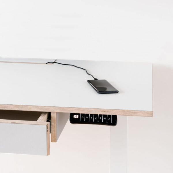 Radis desk VISTA with height adjustable electrical